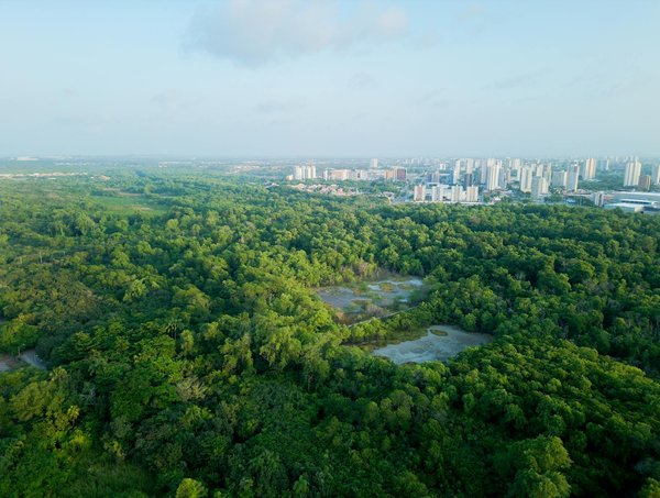 Formation aux premiers secours : Une nécessité incontournable pour le personnel scolaire